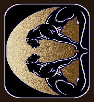 1108 DoublePanther - Star - MR ZEE FURNITURE