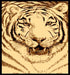 1108 WhiteTiger - Star - MR ZEE FURNITURE